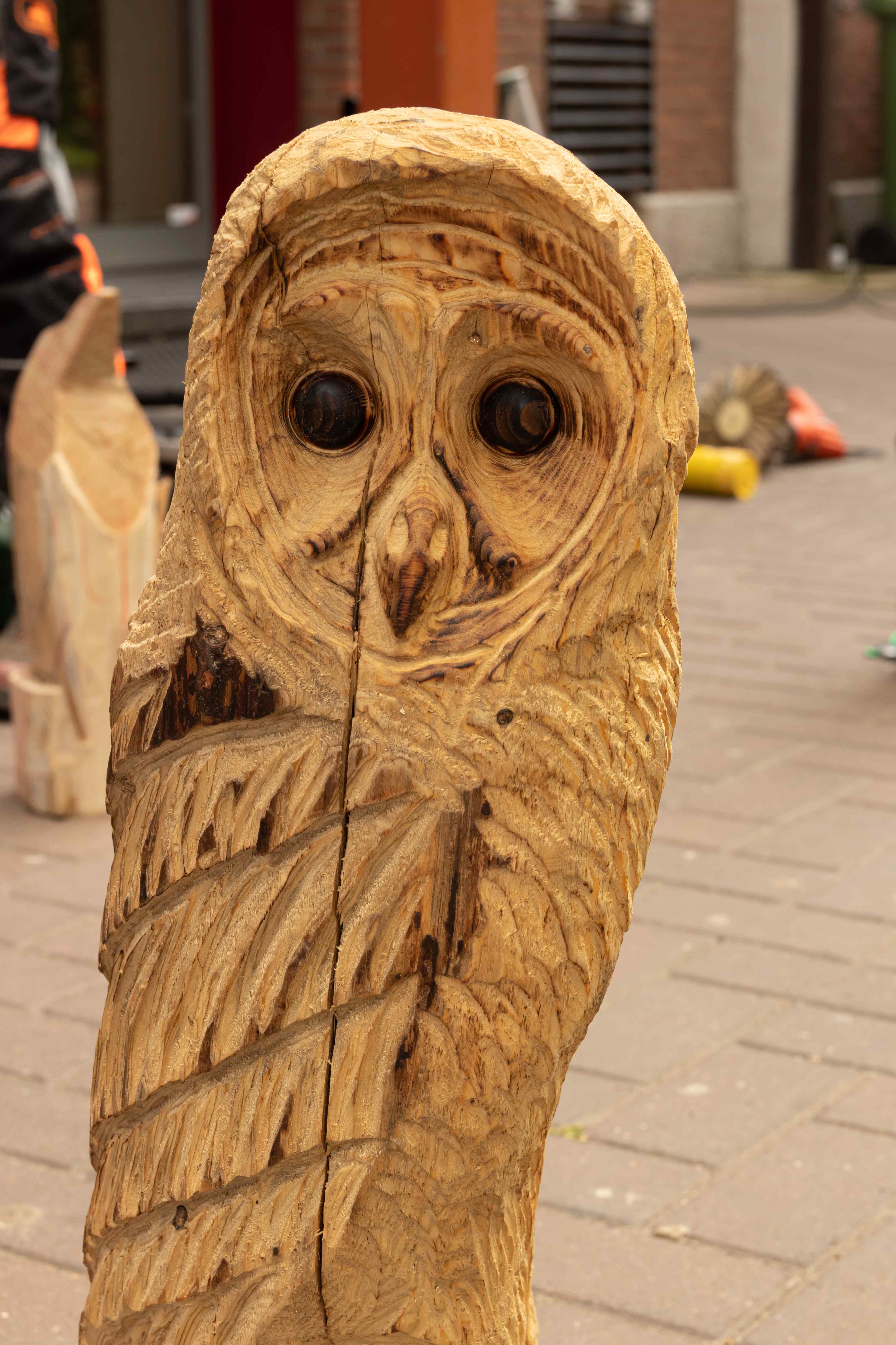 Timmerveldimages/Happening/2022/vertikaal/T-Veld-20220148.jpg
